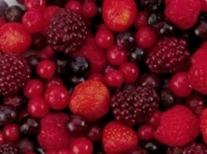 Bosvruchten puree 6x1kg