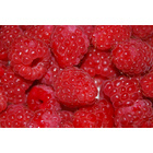 Frambozen puree 6x1kg