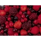 Bosvruchten puree 6x1kg