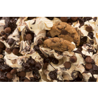 Kookie & Chocolate Variegato