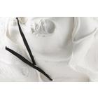 White Vanilla All Natural 6kg