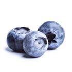 IQF Bosbessen 10kg